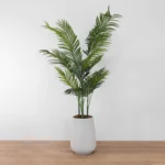 Potted Areca Palm Tree