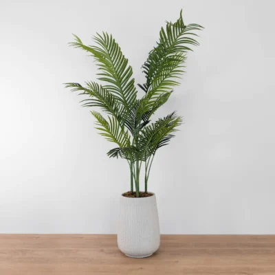 Potted Areca Palm Tree